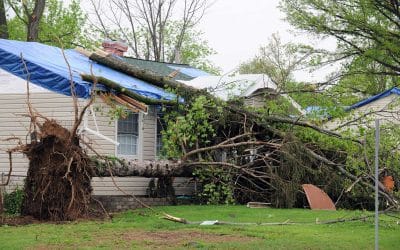 What to Do If a Storm Damages Your Roof in Colorado Springs
